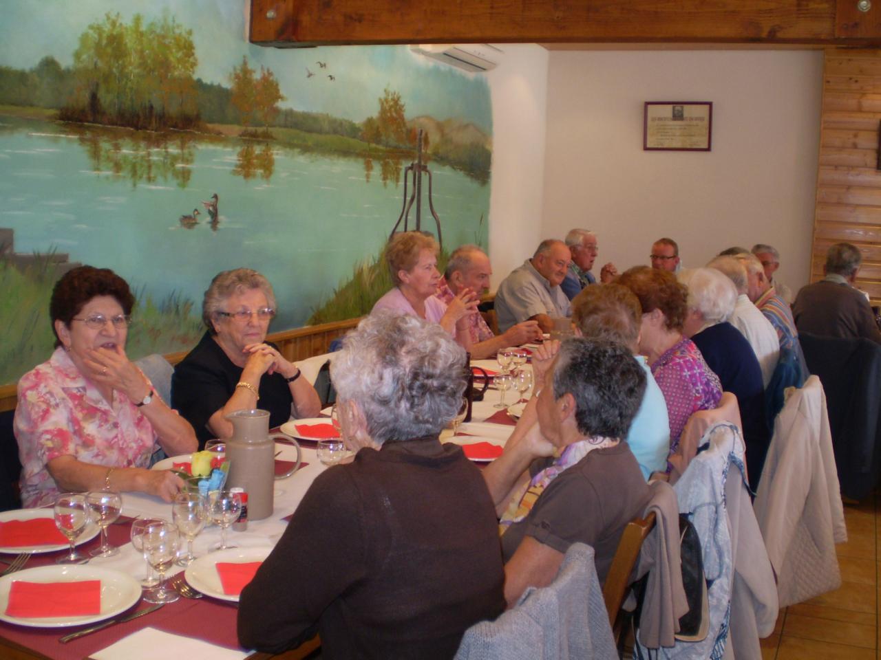 Club des anciens - grenouilles aVivant