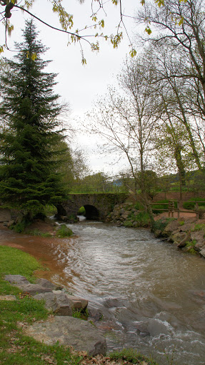 DSC03634