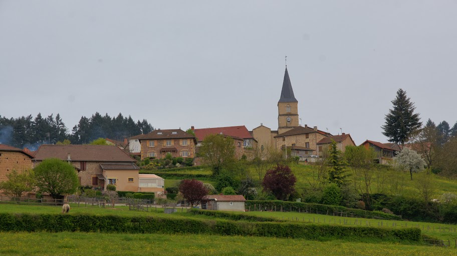 DSC03635