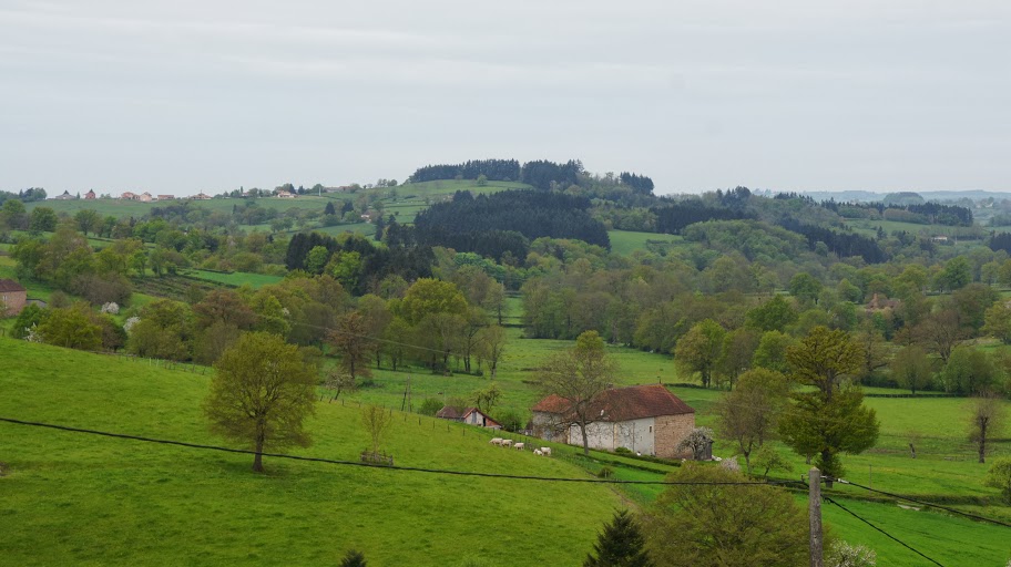 DSC03637