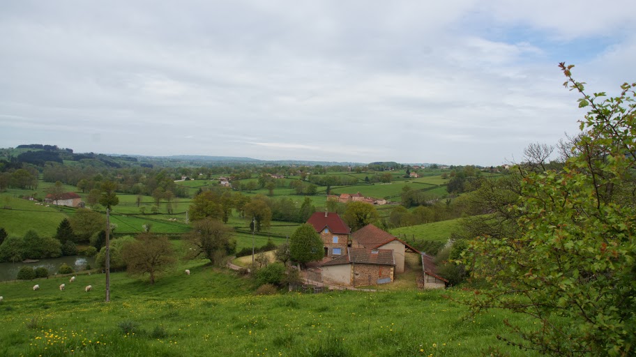 DSC03638
