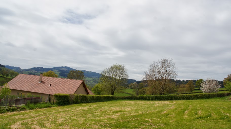 DSC03658