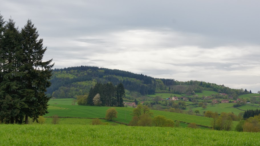 DSC03677
