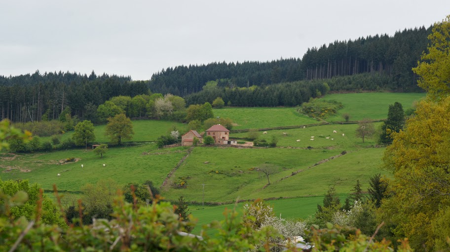 DSC03695