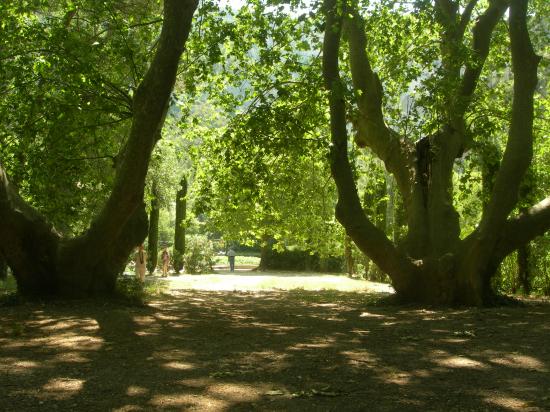 2010-06-12-13-Luberon---536