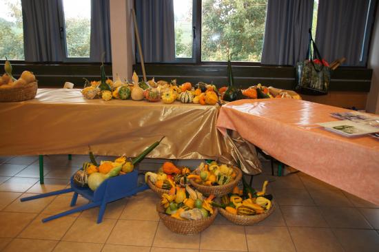 2010-10-17-RandAutomne---030