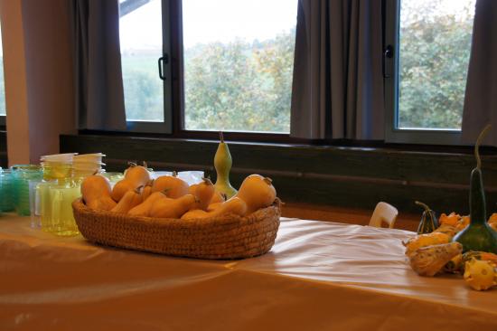 2010-10-17-RandAutomne---031